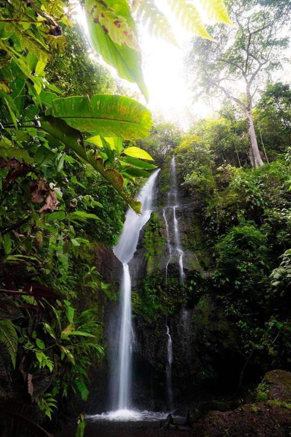 Muchosur Quimbaya Hotel Luaran gambar